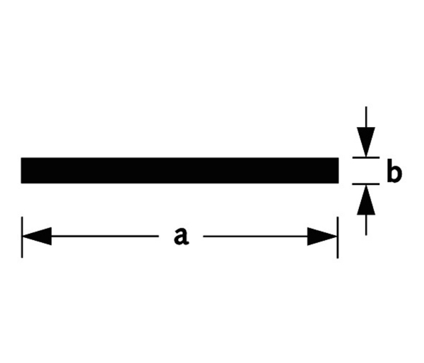 Afbeeldingen van Alum. plat 25x2 100 cm