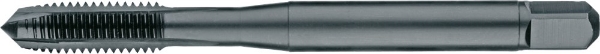 Afbeeldingen van Pha hsse-v rvs m.tap dl.gat m6x1,0