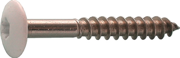 Afbeeldingen van Trespaschroef 4,8x25mm a2 beige (ral9001)