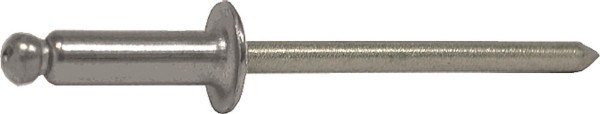 Afbeeldingen van Blindklinknagel4.8x20mm pbk rvs/rvs