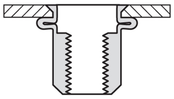 Afbeeldingen van Bl.klinkmoer m6 klein verz.kop 0,5-3mm a 250s