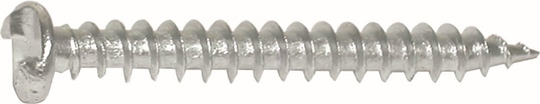 Afbeeldingen van A2 4,2x38mm anti-inbr.schroef one-way
