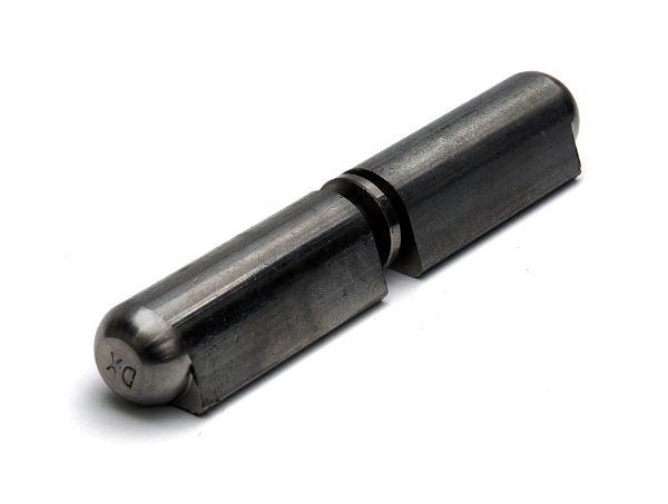 Afbeeldingen van Aanlaspaumelles rvs 60 mm ronde top