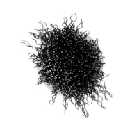Afbeeldingen van Penseelborstel 25x68x6 0.30 staaldr.