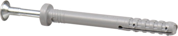 Afbeeldingen van Spijkerplug rk kk 6x60mm (verp.per 100