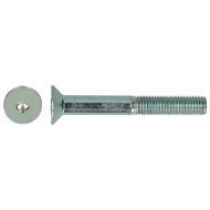 Afbeeldingen van Inbusbout din7991 m12x100mm verzonken 8.8 EV