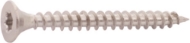 Afbeeldingen van Kelfort sp.pl.schr.tx30 rvs 6.0x40 pk vd