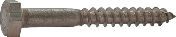 Afbeeldingen van Houtdraadbout din571 6x35mm rvs a2