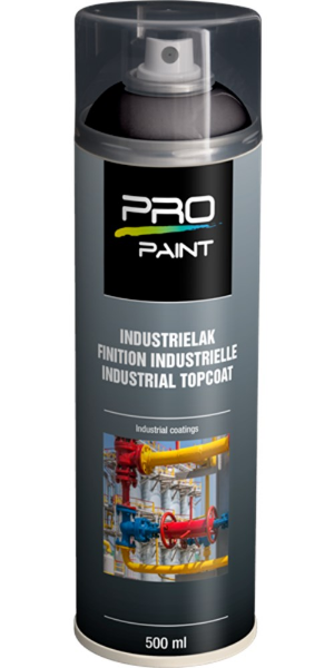 Afbeeldingen van Pro-Paint RAL 9005 HG diepzwart 500 ML (