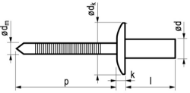 Afbeeldingen van Popnagel cilinderkop 4,8x16 gwd rvs