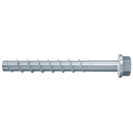 Afbeeldingen van fis Betonschroef FBS II 12x70 10/- zkp.