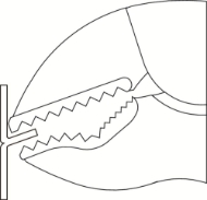 Afbeeldingen van Ged griptang 12"