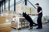 Afbeeldingen van Werkschoen mt.45 Evoke 2.0 D S3S Laag