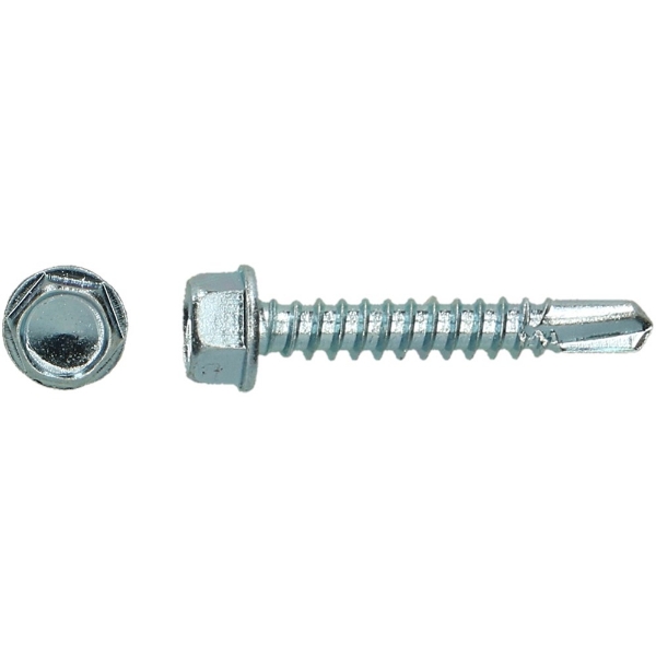 Afbeeldingen van Boorschroef din7504k 4,8x19mm 6-kant EV