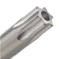Afbeeldingen van Rotec schr.bit T15, L=25, C6.3 met gat [10]