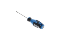 Afbeeldingen van Ged schroevendr. t10 torx