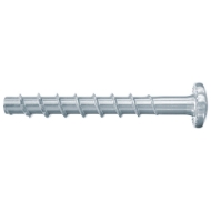 Afbeeldingen van fis Betonschroef FBS II 6x40/5 bolkop