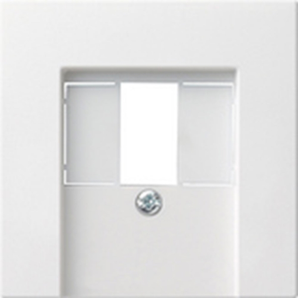 Afbeeldingen van Gira St55 Usb/Tae Plaat Wit