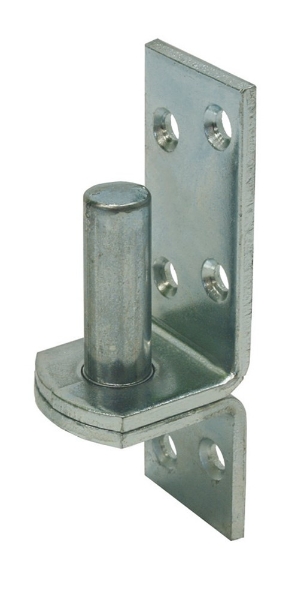Afbeeldingen van Plaatduim vz 38x5 pen 16x45 4.9404